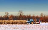 Tractor In A Field_03938